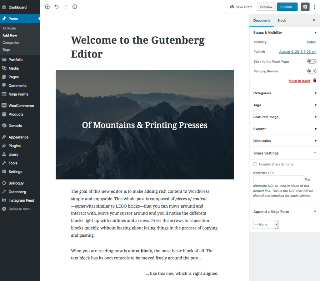 Gutenberg Post Editor