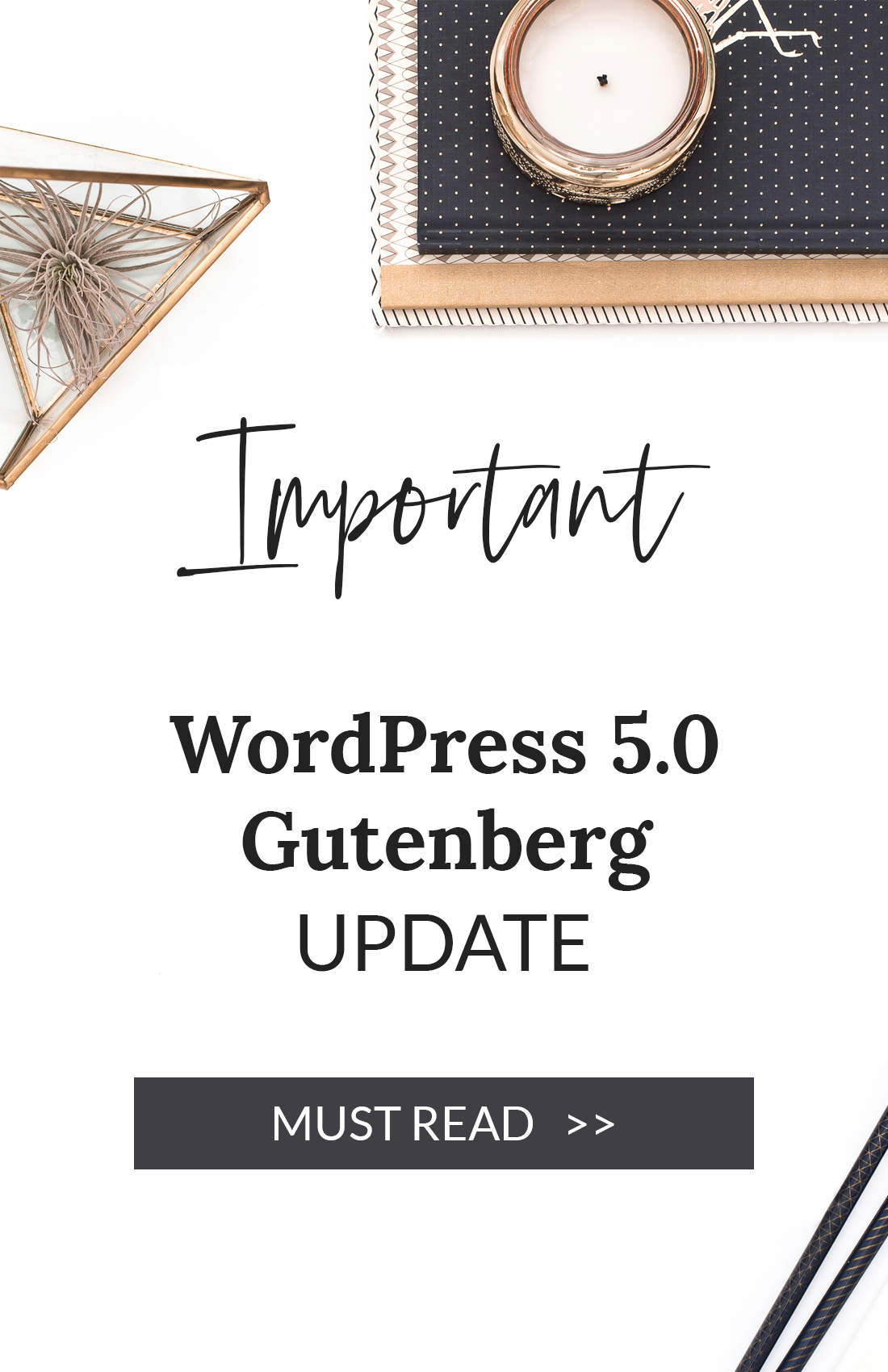 WordPress Gutenberg Update