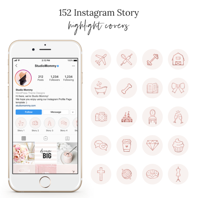 Blush Rose Gold Instagram Highlight Covers