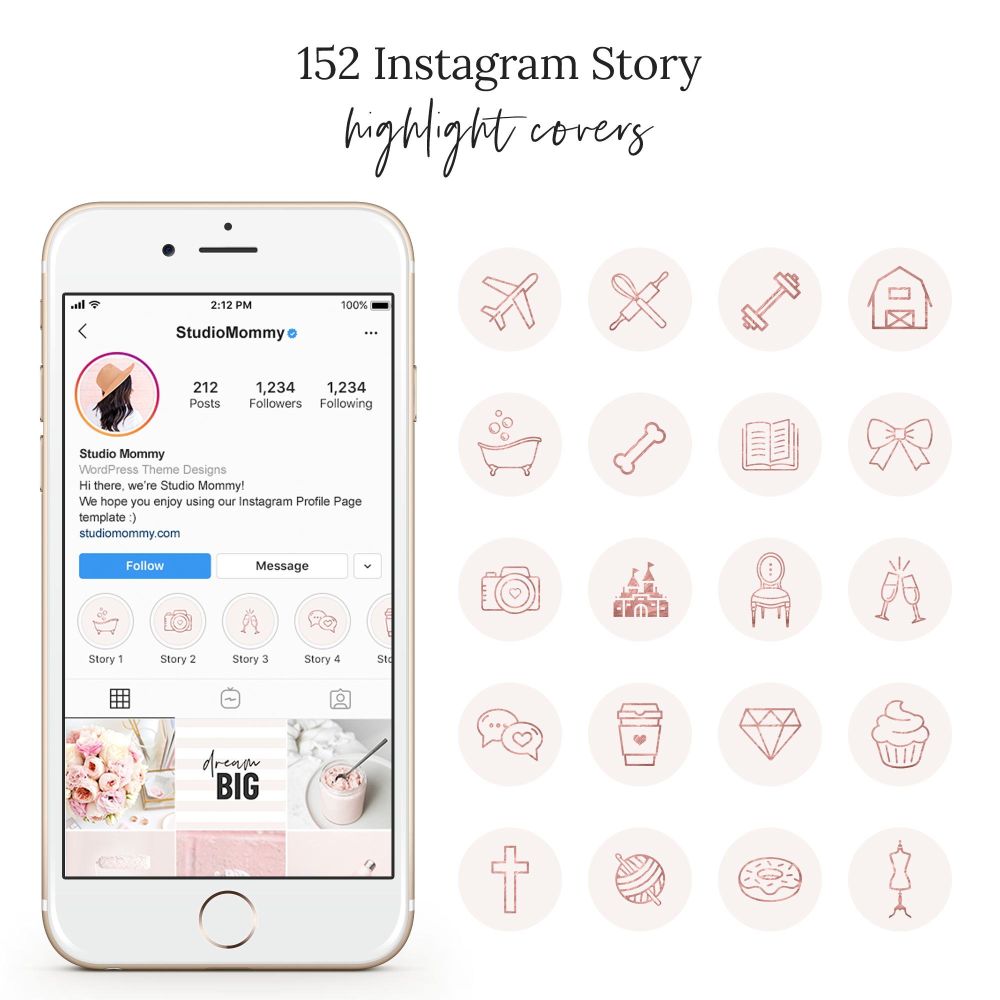 Graphic Design Blush Rose Gold Instagram Highlights And Story Covers 