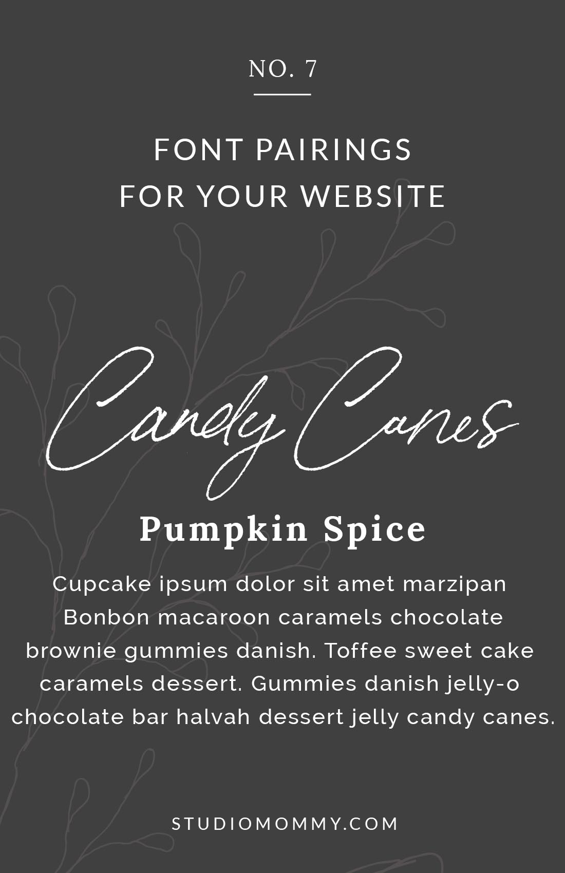 Feminine Font Pairings - Bon Vivant, Lora, and Raleway